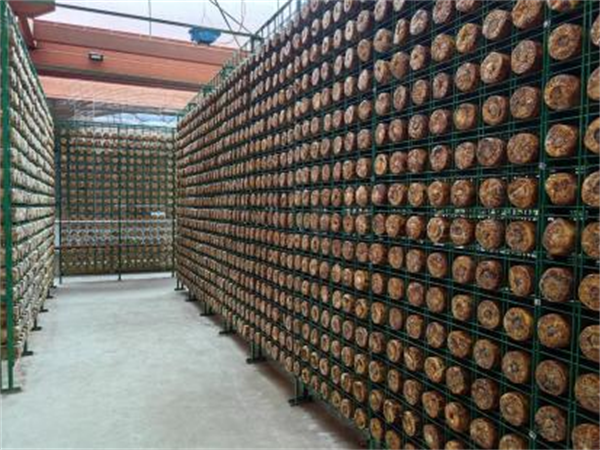 1711507297612056236.png 图片3.png