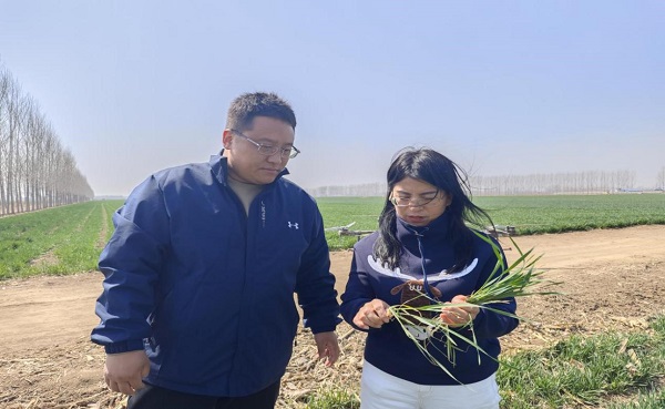 1712036509935020266.jpg ny.jpg