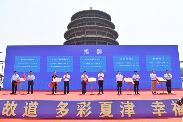 1716256829062095523.jpg 桑葚1.jpg