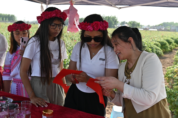 1716276218294071957.jpg dt0521 2.jpg