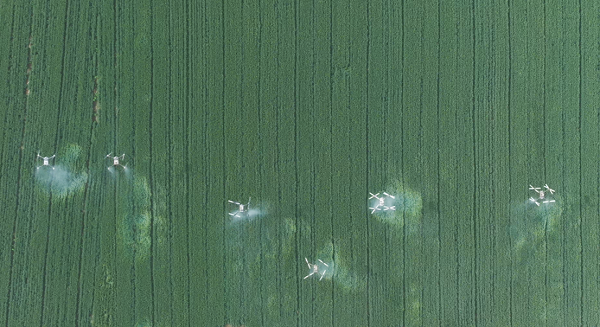 1716368521640074810.png ningyang1.png