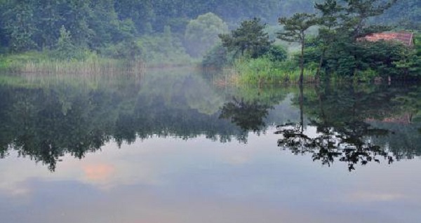 1716801894611045415.jpg 沭河古道2.jpg