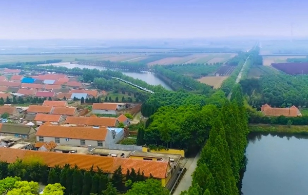 1718360480128024615.jpg 2_副本.jpg