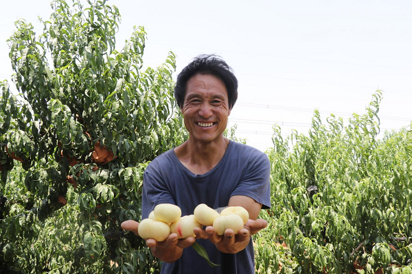 1718699517733015163.png 图片1.png