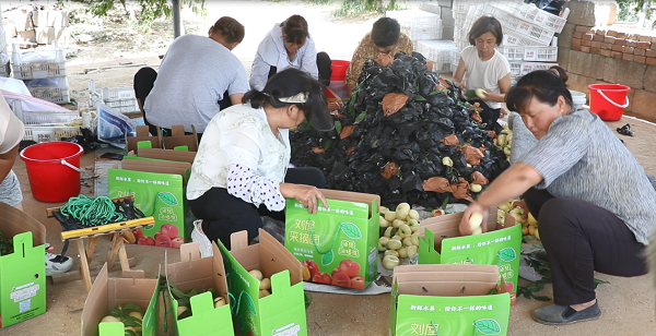 1718699552510020454.png 图片2.png