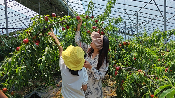 1718700334062060124.png 图片2.png