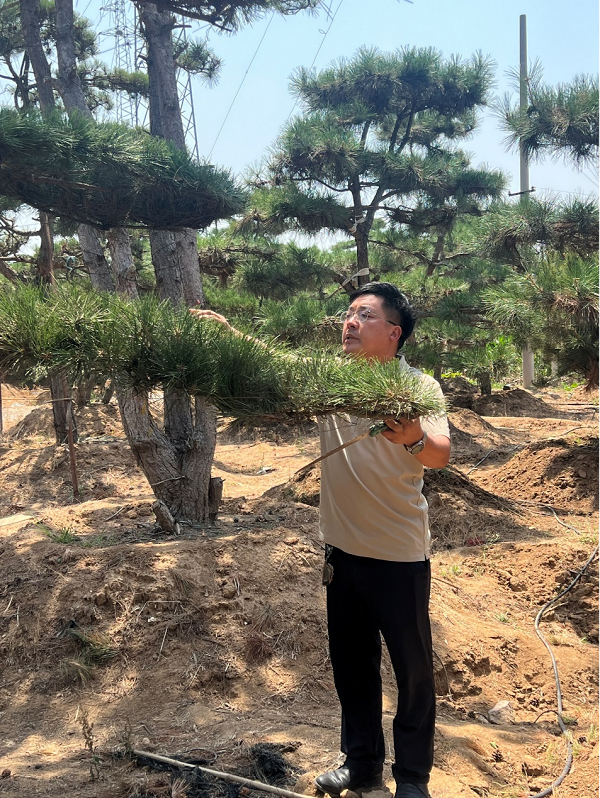 1718700591360021484.png 图片1.png