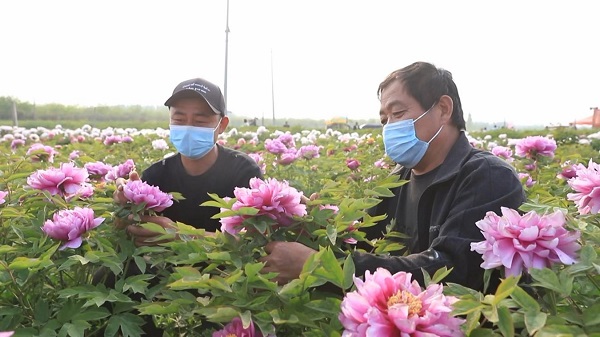 1719548051081041323.jpg 三线2.jpg