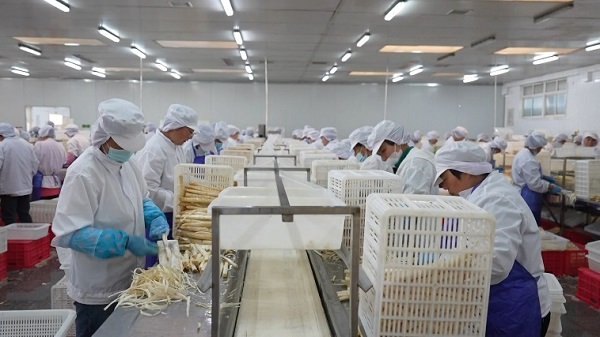 1719548711619024488.jpg 芦笋1.jpg