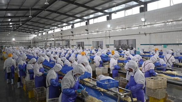 1719548983959077876.jpg 农产品1.jpg