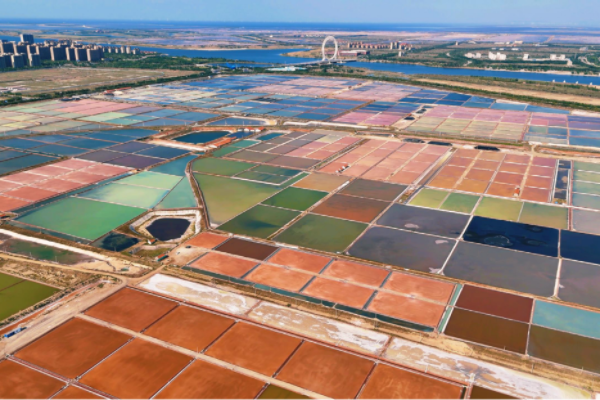 weifang.png