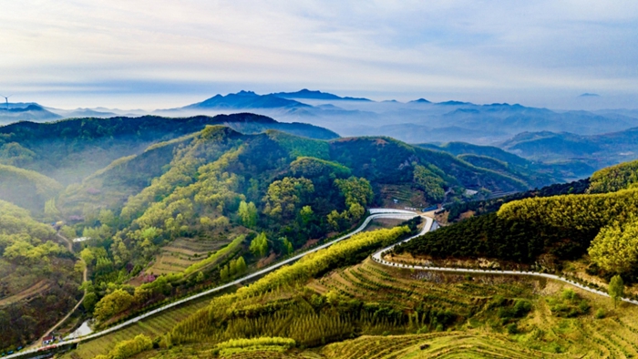 zhucheng0807 1.jpg