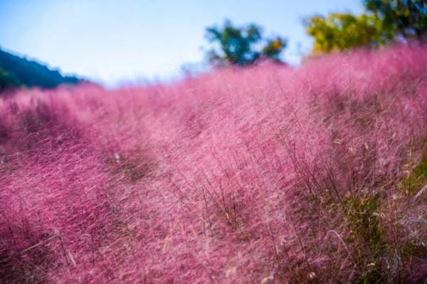 1762767060089095382.jpg 龙洞.jpg