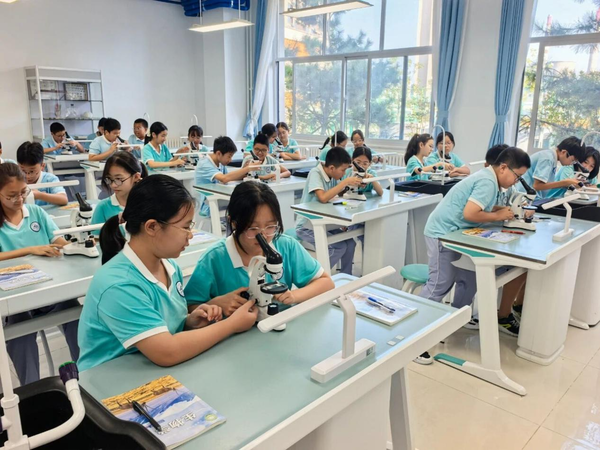 1763447971281032554.png 图片1(4) (2).png