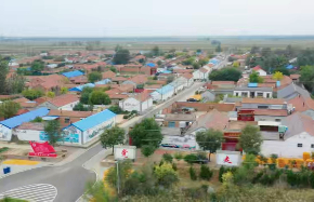 1486202500550841655 (1).jpeg