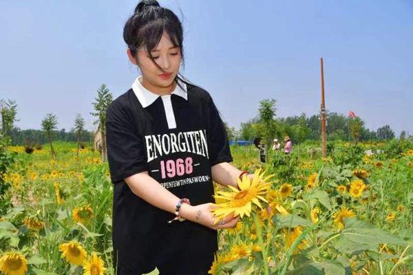 sunflower1.jpg