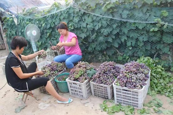 图片2.jpg