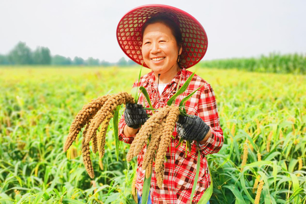 鄄城.jpg