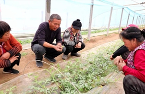 dingtao0305 3_副本.jpg