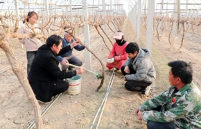 dingtao 319_副本.jpg