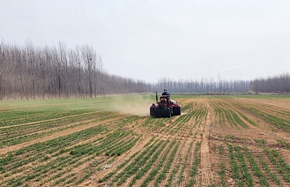 zhucheng 0327 1_副本.jpg