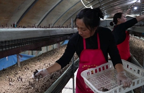 定陶 0327_副本.jpg