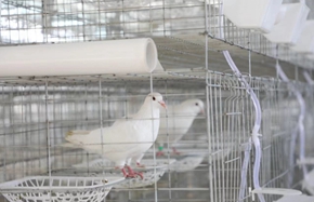 zhucheng0506 1_副本.jpg