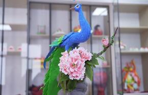 360截图20240510154716036 (1).jpg