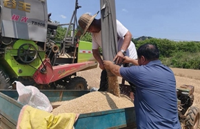 zhucheng0612 1_副本.jpg