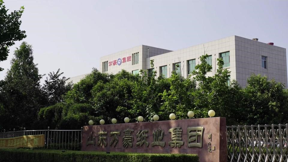 5 Wang Ying.jpg