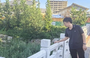 290.jpg