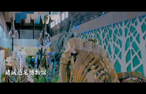微信图片_20231129135940_副本.png