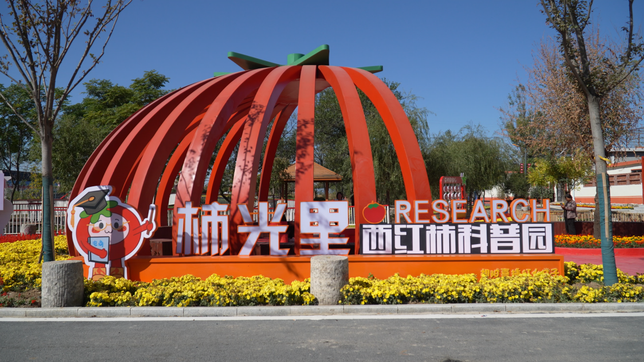 西红柿.png