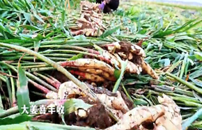 微信图片_20231207141752.png