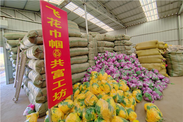图片1(2).png