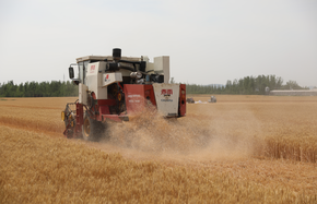 hedong land封面图.png