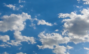 WXWorkLocalGovPro_20240822085702.png