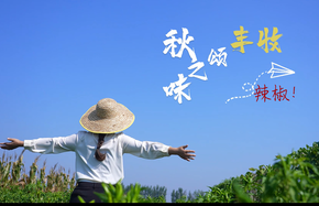 武城封面图.png