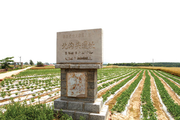 临沭.png