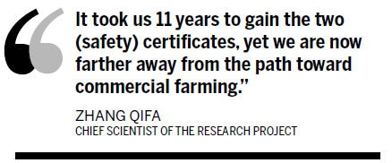 Problematic path to GM rice commercialization