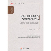 China’s Carrying Capacity for Mid- and Long-Term Liability and Systematic Risk