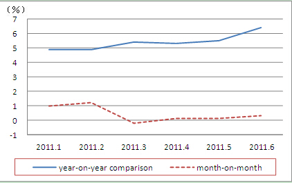 An Analysis of CPI Performance in the First Half of 2011 and Forecast for Its Future Movement