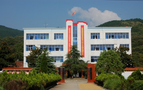Local Government Corporatization: Pros and Cons