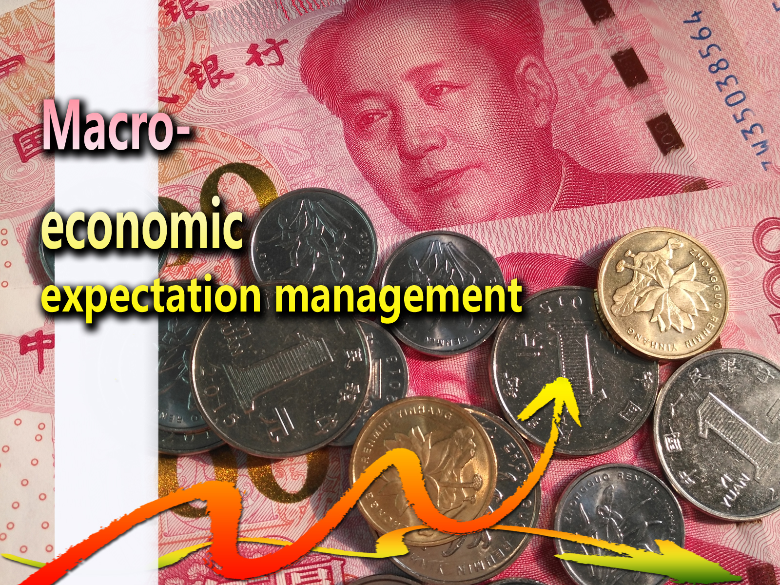 Projected Macro Control and Management: Current Performance, Problems and Policy Options