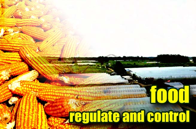 Further Improve the Food Control Policy System with the Idea of Treating Grain Output and Grain Production Capacity with Different Measures
