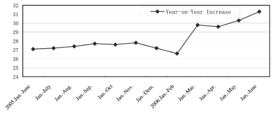 Analysis and Forecast of the Market Situationin the First Half of 2006*