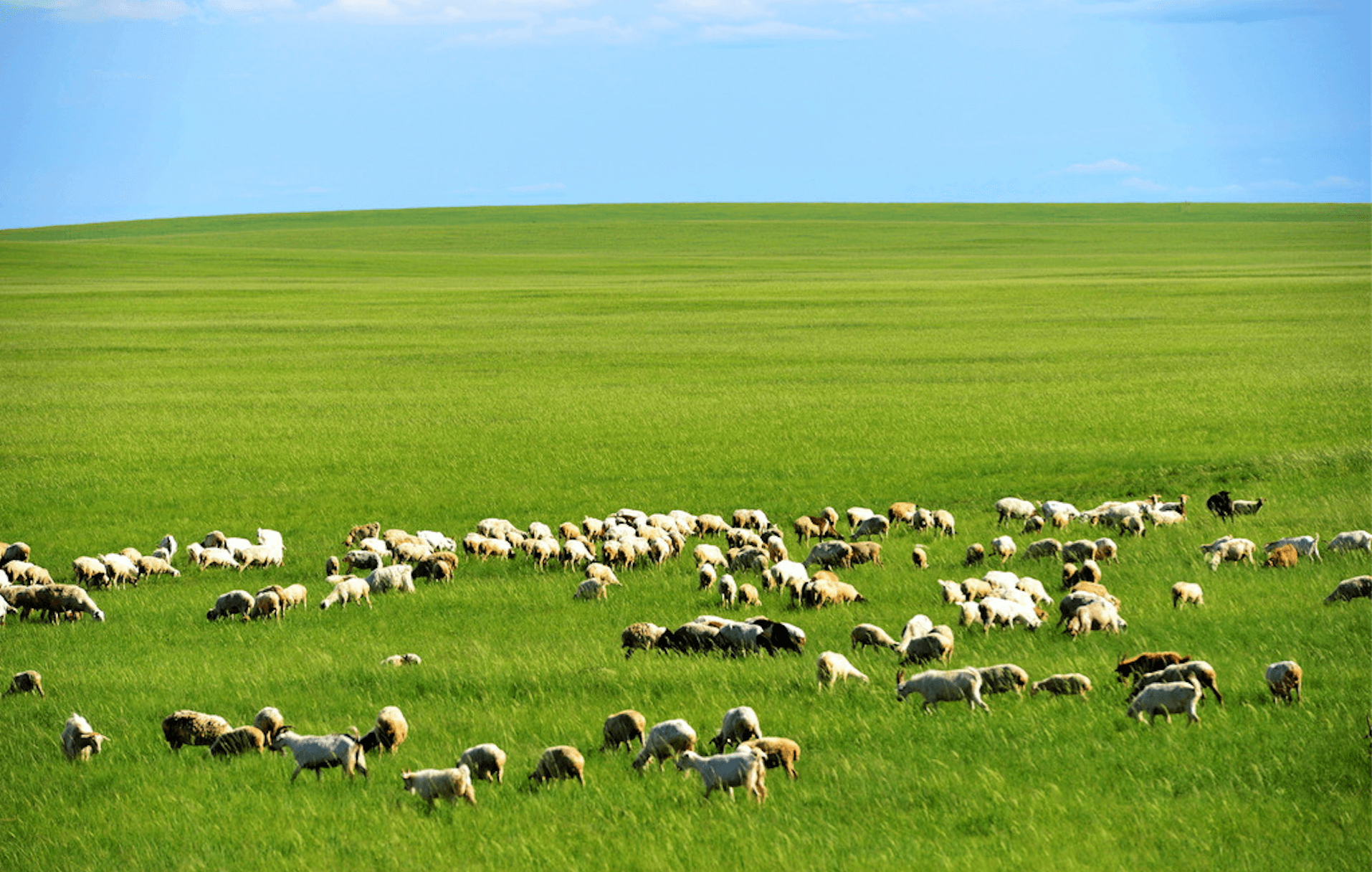 Grassland Ecological Governance: Herdsmen Become Richer and Landscape 