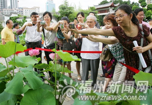 人大代表视察绿化景观后感叹：城市变成了大公园