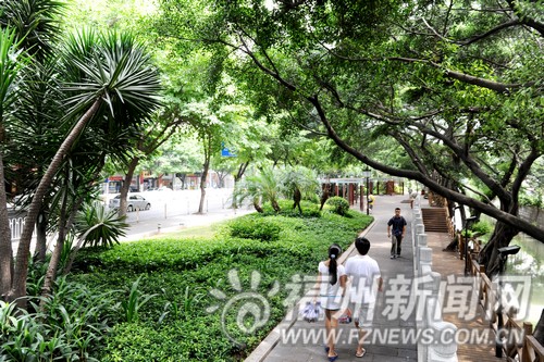 榕大力推进城市生态环境建设：花香满城绿意满眼