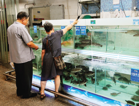 水产批发市场淡水鱼供应正常　榕淡水鱼价格稳定